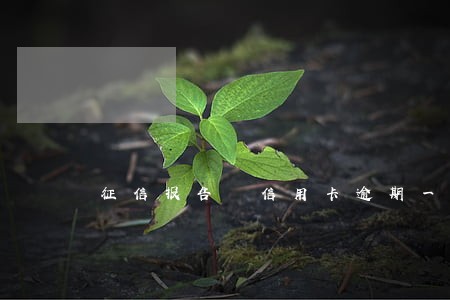 征信报告 信用卡逾期一个月 征信报告 信用卡逾期一个月